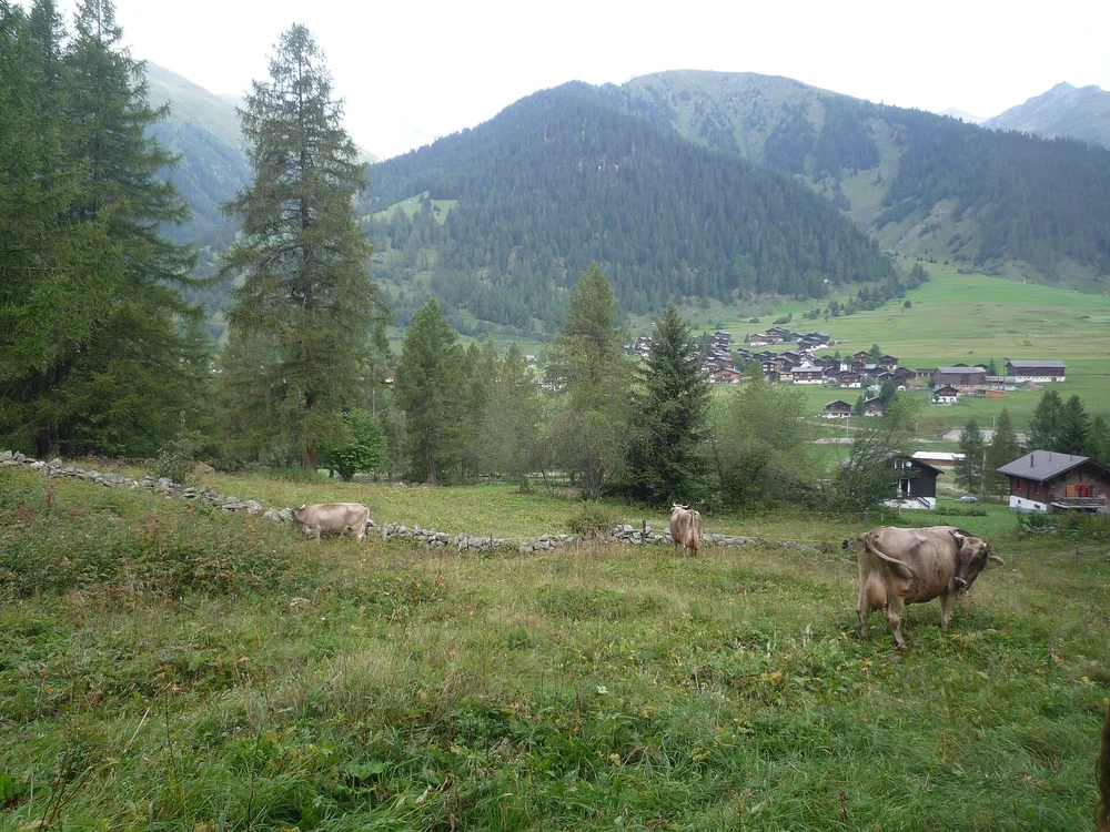 View of Reckingen-Gluringen