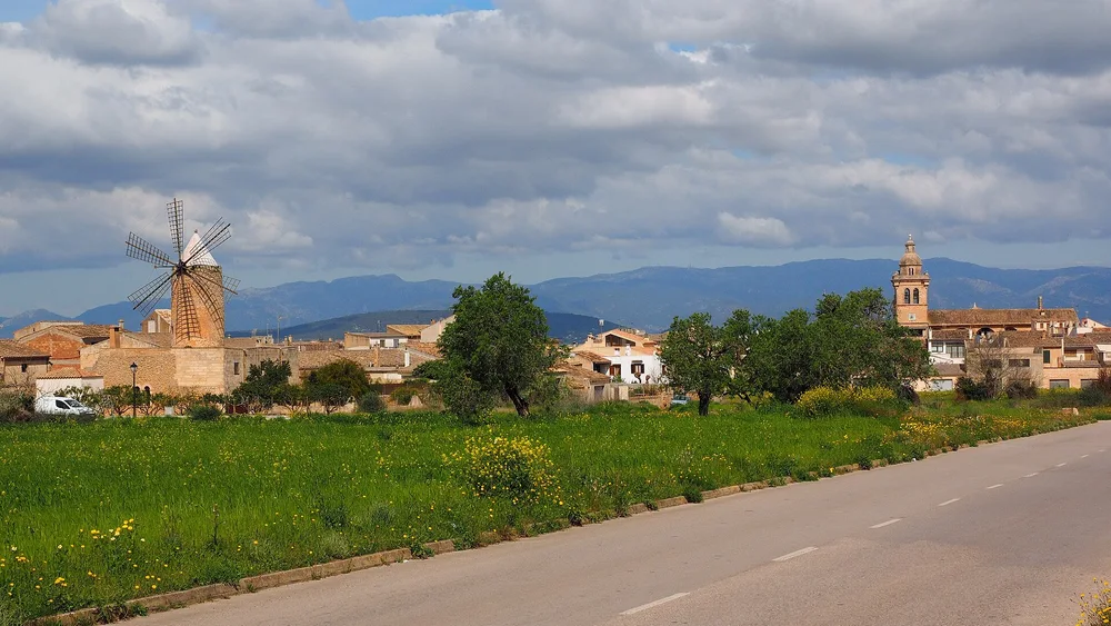 View of Algaida