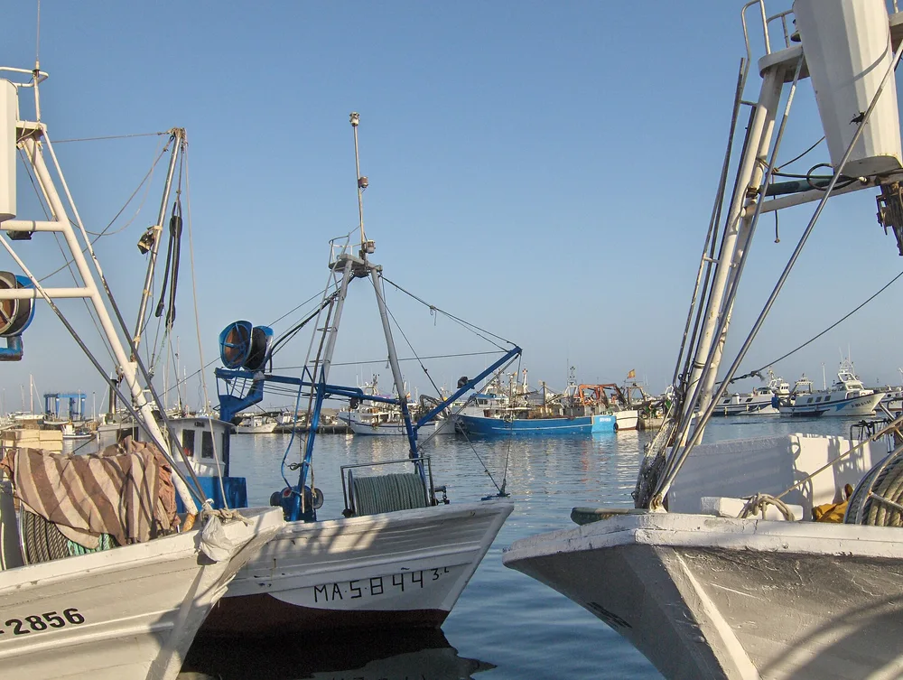 View of Caleta de Vélez
