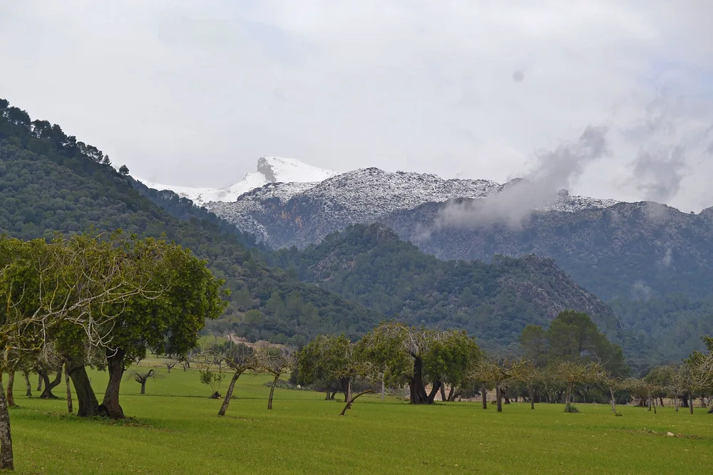 View of Campanet