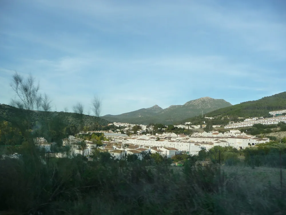 View of El Bosque
