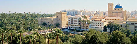 View of Elche