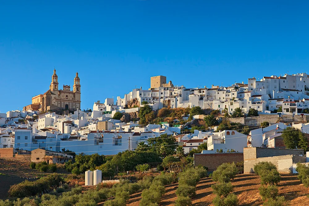 View of Olvera