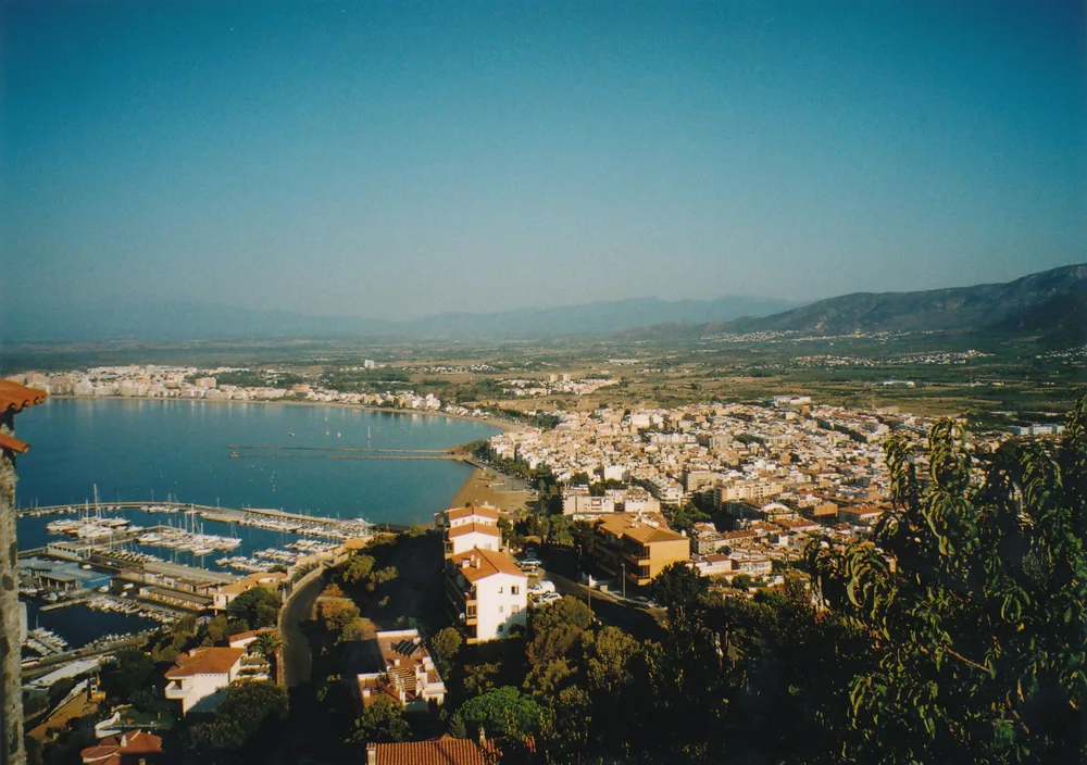 View of Roses