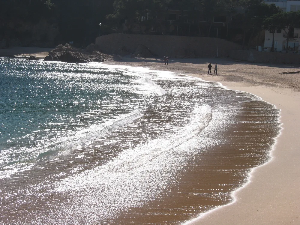 View of Tamariu