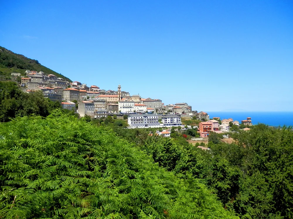 View of Cervione