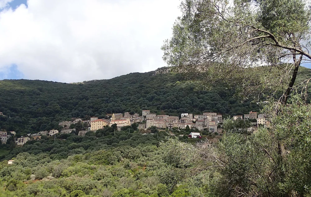 View of Olmeto