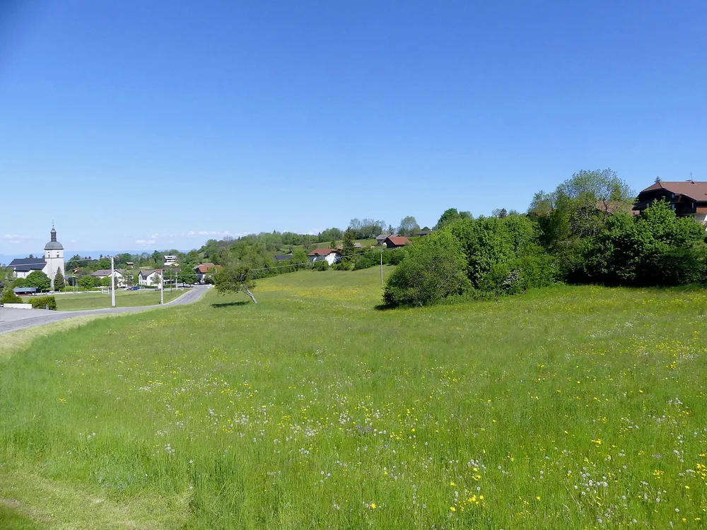 View of Thollon