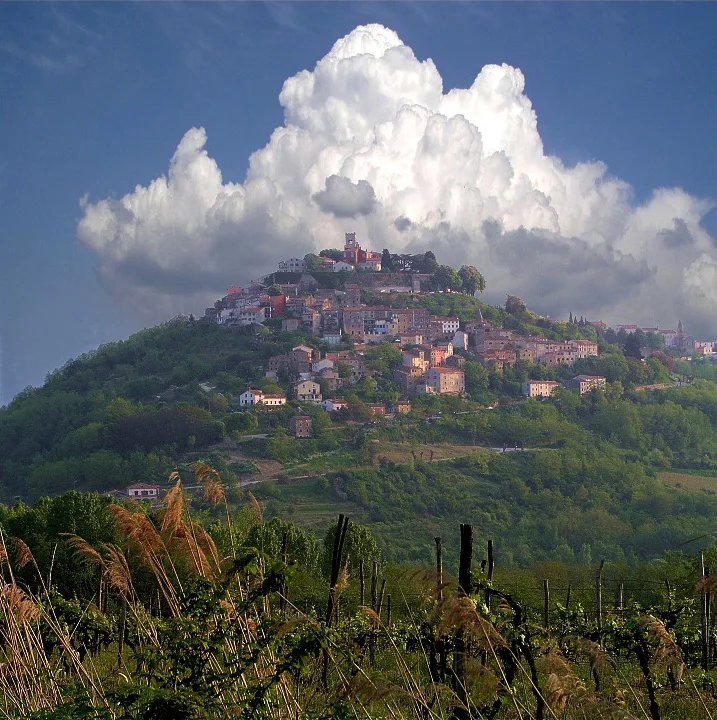 View of Motovun