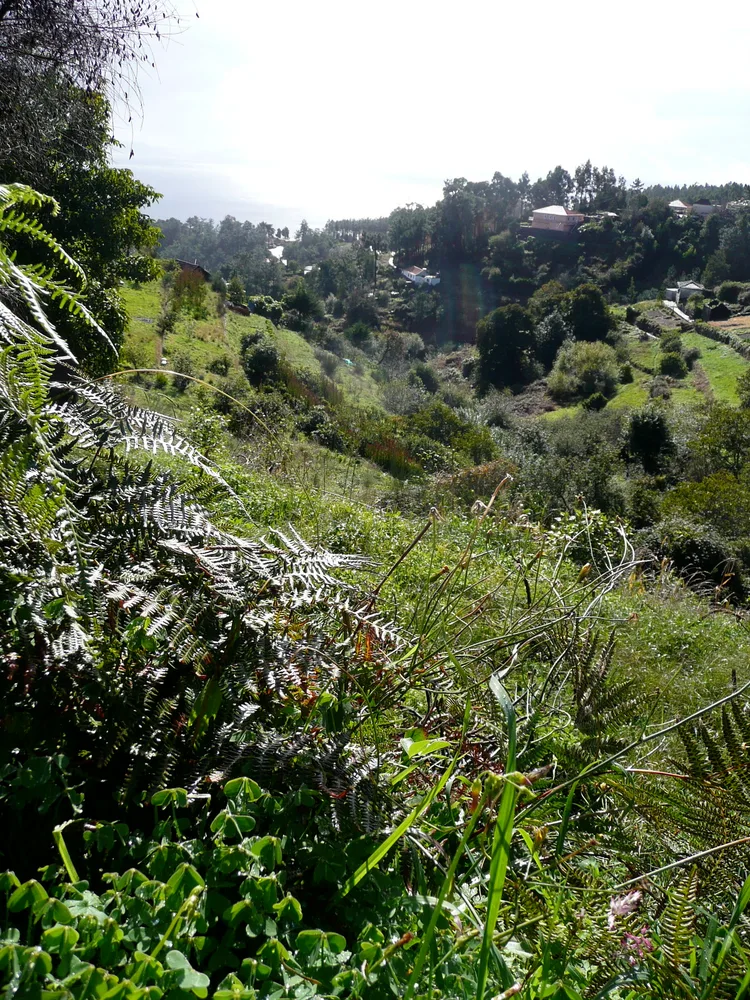 View of Prazeres